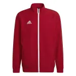 Veste de prsentation adidas entrada 22