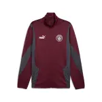 Veste de survtement manchester city 2024 / 25
