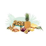 Essentiel fruits longanis