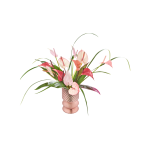 Mini - anthurium