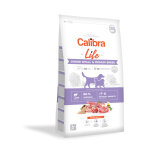 Calibra life junior small & medium breed agneau et riz pour chien 12 kg