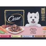 Cesar adult s�lection p�t�e en sauce multipack en sachets pour chien (100 g) 1 bo�te (12 x 100 g)