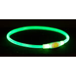 Collier éclairant flash 65 cm vert pour chien 1 pièce Collier éclairant flash 65 cm vert pour chien 1 pièce
