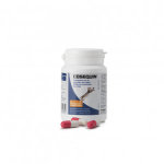Cosequin pour chat 45 capsules