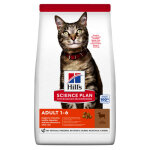 Hill's adult  l'agneau pour chat 2 x 10 kg