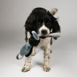 Jule corde de jeu avec feuille d'aluminium craquele jouet pour chien une pice