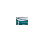 Milbeguard (milbactor) duo 12, 5 / 125 mg vermifuge pour chien 2 comprimés Milbeguard (milbactor) duo 12, 5 / 125 mg vermifuge pour chien 2 comprimés