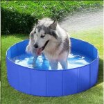 Piscine pour chien 30 cm de haut l 120 cm