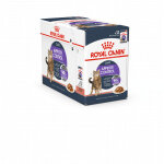 Royal canin appetite control care pte pour chat (en sauce) 1 bote (12 x 85 g)