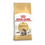 Royal canin chat maine coon 31 adult 4 kg