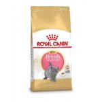 Royal canin kitten british shorthair pour chaton 2 kg