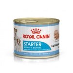 Royal canin starter mousse mother & babydog pour chien - 195 g 1 lot (12 x 195 g) Royal canin starter mousse mother & babydog pour chien - 195 g 1 lot (12 x 195 g)