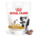 Royal canin urinary treats friandise pour chien 230 g