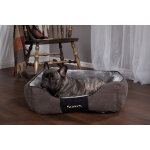 Scruffs chester box bed panier pour chien graphite l