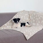 Trixie couverture kenny pour chien et chat beige 150 x 100 cm