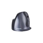Evoluent d large wireless, souris