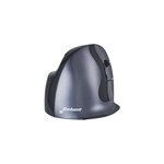 Evoluent d small wireless, souris