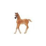 Horse club poulain arabe, figurine