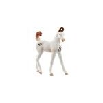 Horse club poulain marwari, figurine