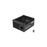 Pro ws platinum alimentation modulaire 1600 watt