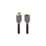 Rallonge displayport 1. 4 anthra line, 1m, c�ble