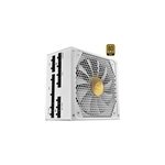 Rebel p30 gold white alimentation modulaire 1000 watt