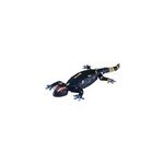 Robo friends salamander, voiture t�l�command�e