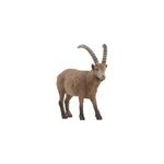 Wild life bouquetin, figurine