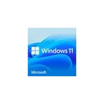Windows 11 home 1 licence(s), logiciel