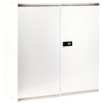 Armoire  pharmacie safe 4 vide  2 portes - serrure  code