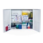 Armoire  pharmacie alimentaire abs 2 portes - garnie