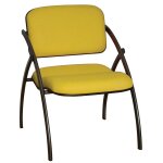 Chauffeuse d'accueil 1 place