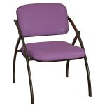 Chauffeuse d'accueil 1 place