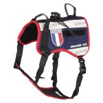 Harnais pour chien drakken