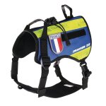 Harnais pour chien drakken