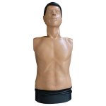 Mannequin de secourisme ambu man b torse