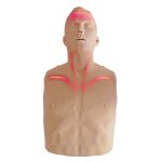 Mannequin de secourisme brayden