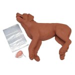 Mannequin de secourisme canin casper