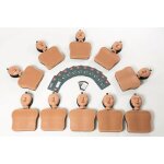 Pack 10 mannequins ambuman school