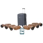 Pack mannequins de secourisme new little anne qcpr avec valise