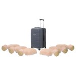 Pack mannequins de secourisme new little anne qcpr avec valise