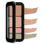 Palette maquillage de camouflage