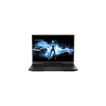 Erazer beast 17 ; qhd + 240hz / i9 - 14900hx / 4090 / 32 / 1t + 1t / w11
