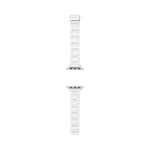 Bracelet de remplacement pour apple watch fossil s380005 argent