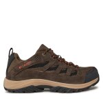 Chaussures de trekking columbia crestwood? 1781181 marron