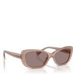 Lunettes de soleil lauren ralph lauren 0ra5322u 55 61147n rose