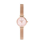 Montre daniel wellington dw00100743 or
