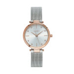 Montre esprit eslw23721si argent