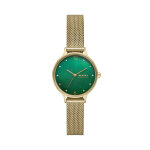 Montre skagen anita lille skw3145 vert