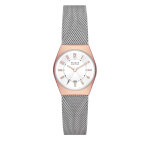 Montre skagen grenen lille skw3050 argent